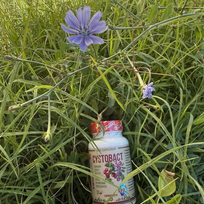 Cystobact — foto 1