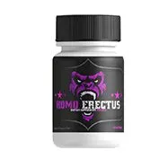 HomoErectus — product photo