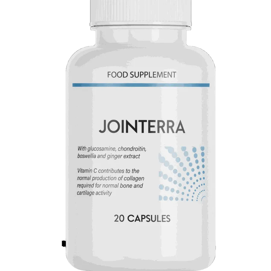 Jointerra