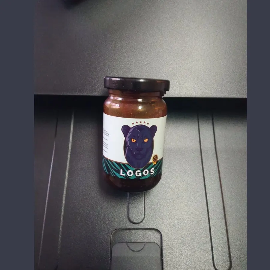 Logos — لقطة