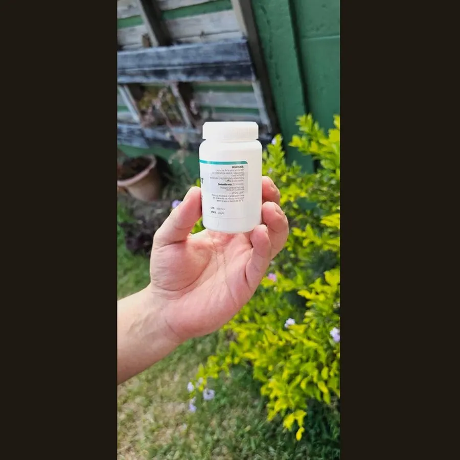 Reocuvit — foto 3